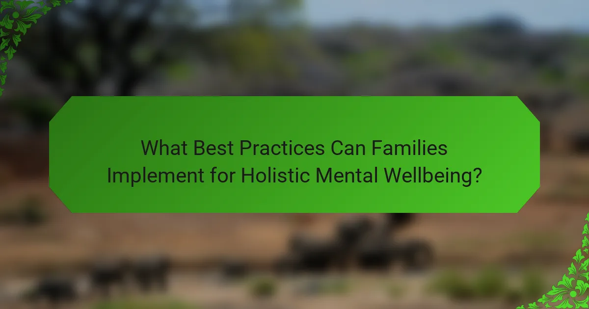 What Best Practices Can Families Implement for Holistic Mental Wellbeing?