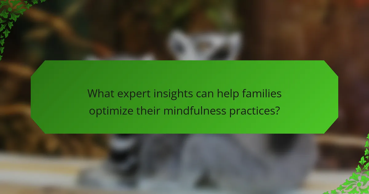 What expert insights can help families optimize their mindfulness practices?