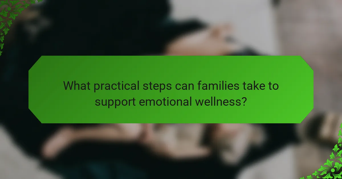 What practical steps can families take to support emotional wellness?